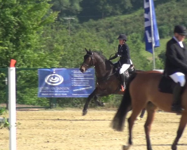 Reitturnier Lindlar-Süttenbach 2021