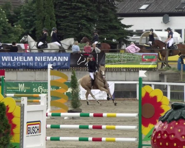 Reitturnier Melle-Ostenfelde 2021