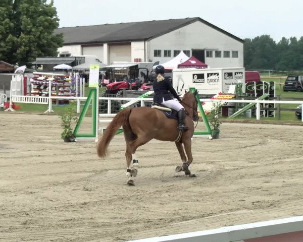 Reitturnier Melle-Ostenfelde 2021
