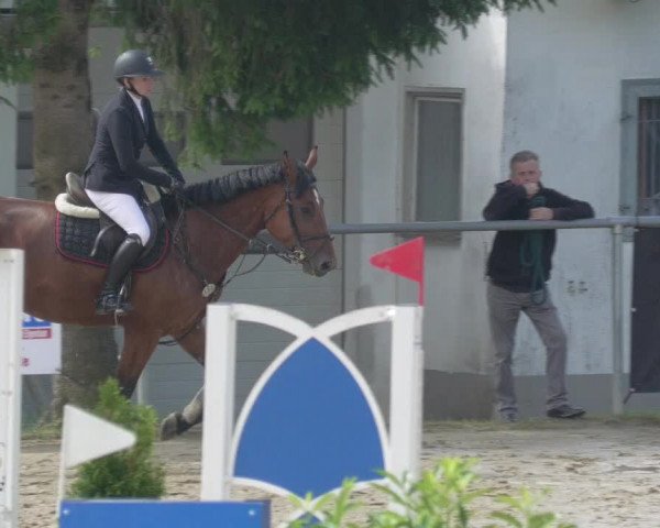 Reitturnier Bad Marienberg - OT Nisterau 2021 - Oberwesterwald