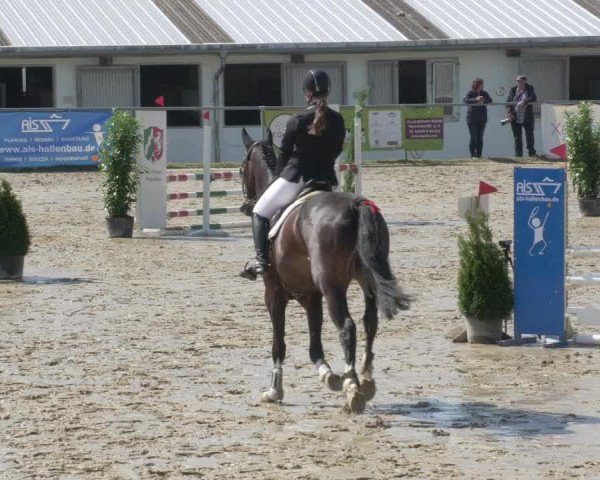 Reitturnier Bad Marienberg - OT Nisterau 2021 - Oberwesterwald