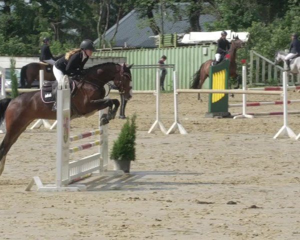 Reitturnier Bad Marienberg - OT Nisterau 2021 - Oberwesterwald