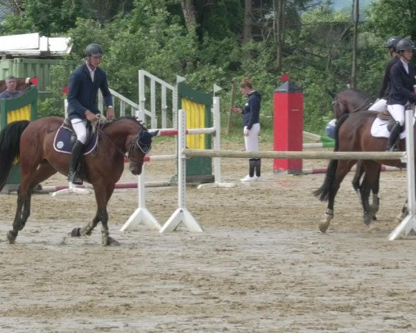 Reitturnier Bad Marienberg - OT Nisterau 2021 - Oberwesterwald