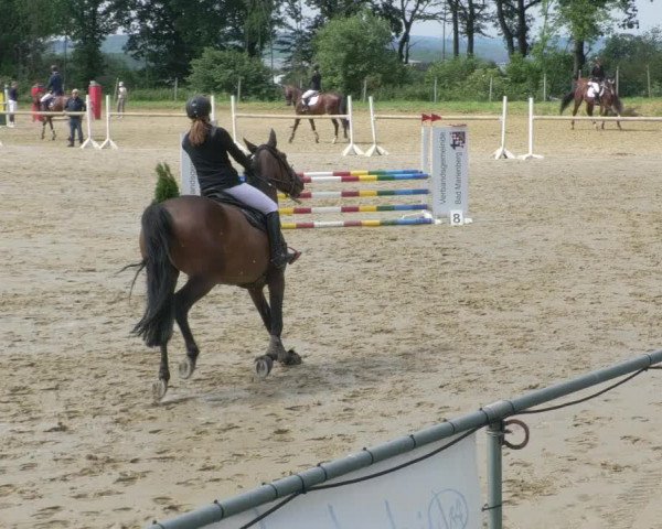 Reitturnier Bad Marienberg - OT Nisterau 2021 - Oberwesterwald
