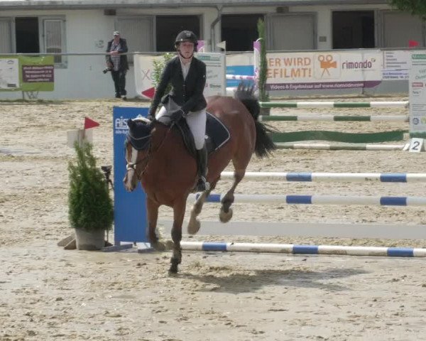 Reitturnier Bad Marienberg - OT Nisterau 2021 - Oberwesterwald