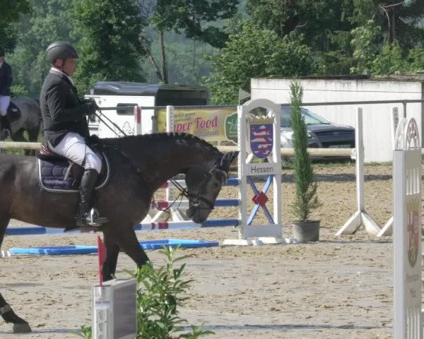 Reitturnier Bad Marienberg - OT Nisterau 2021 - Oberwesterwald