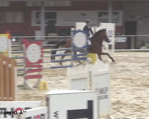 Reitturnier Uder, Reitanlage Kobold 2021