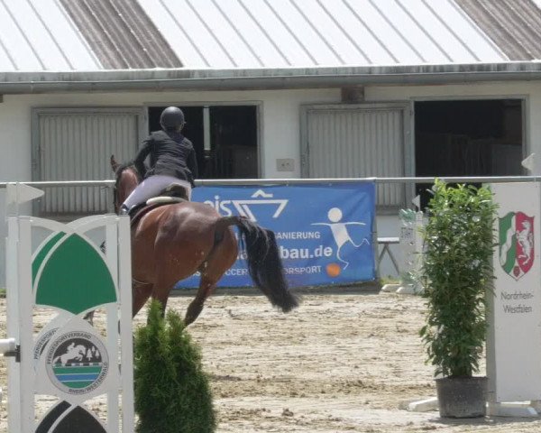 Reitturnier Bad Marienberg - OT Nisterau 2021 - Oberwesterwald