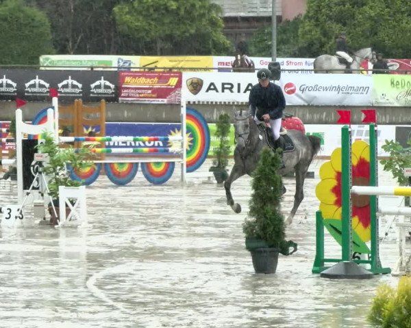 Reitturnier Melle-Ostenfelde 2021