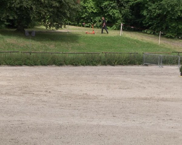Reitturnier Tübingen 2021