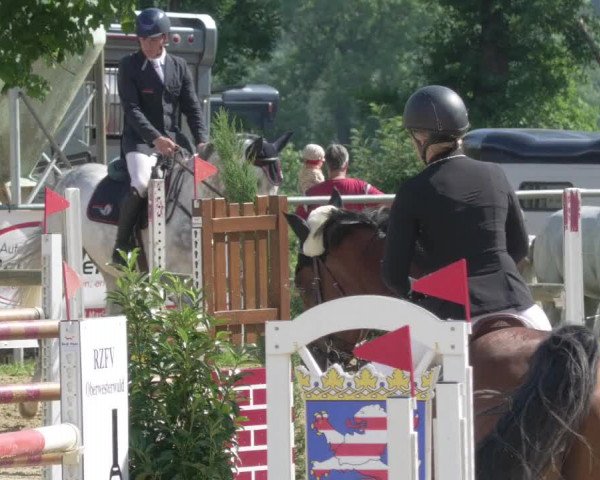 Reitturnier Bad Marienberg - OT Nisterau 2021 - Oberwesterwald
