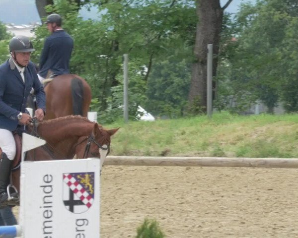 Reitturnier Bad Marienberg - OT Nisterau 2021 - Oberwesterwald