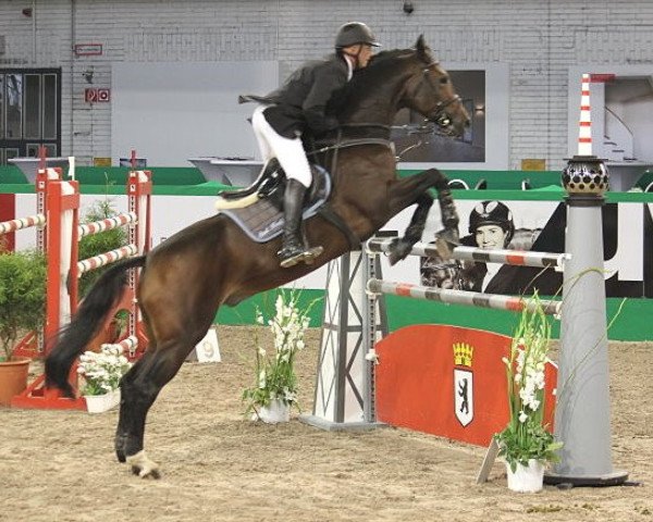 Zuchtstute Gioconda (Deutsches Sportpferd, 2004, von Moosbachhofs Goldwing)