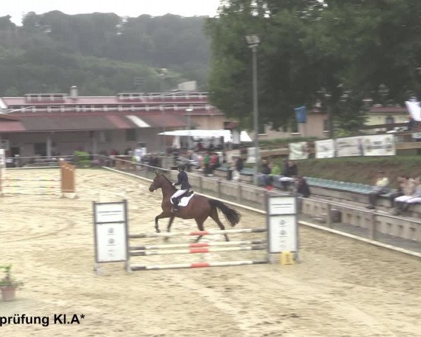 Reitturnier Uder, Reitanlage Kobold 2021