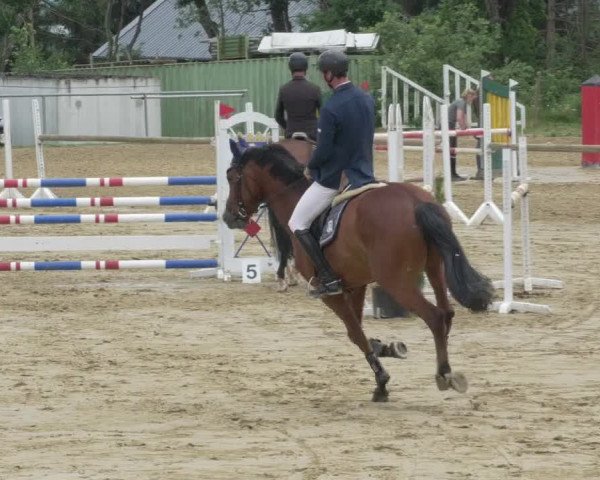 Reitturnier Bad Marienberg - OT Nisterau 2021 - Oberwesterwald