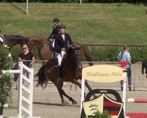 Reitturnier Tübingen 2021