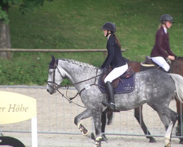 Reitturnier Tübingen 2021