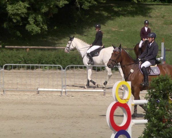 Reitturnier Tübingen 2021