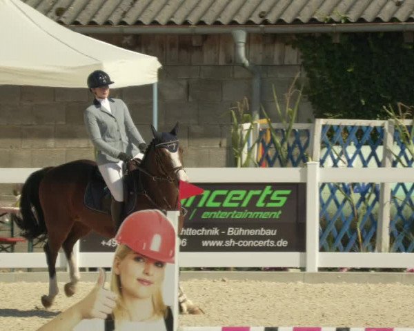 Springturnier Memmingen 2021