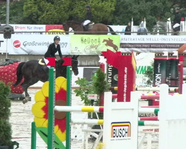 Reitturnier Melle-Ostenfelde 2021