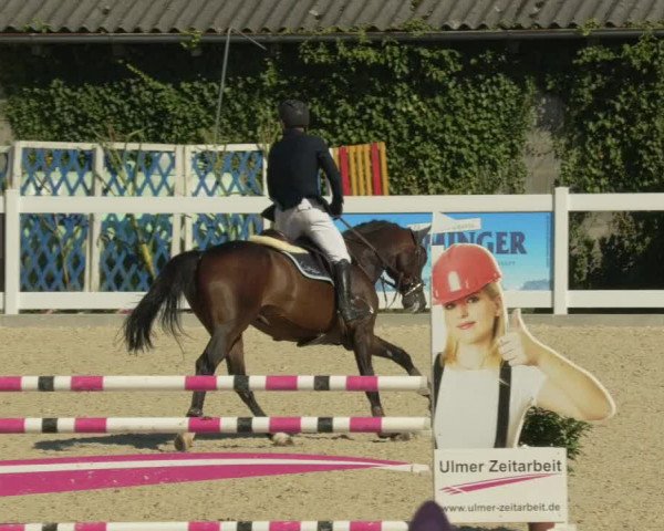 Springturnier Memmingen 2021