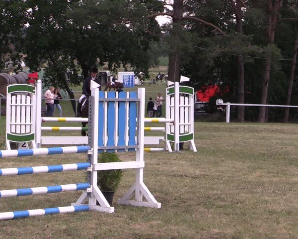 Reitturnier Niederwerbig 2021
