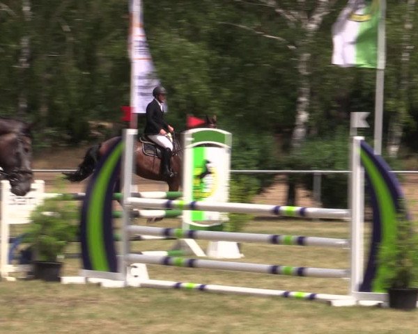 Reitturnier Niederwerbig 2021