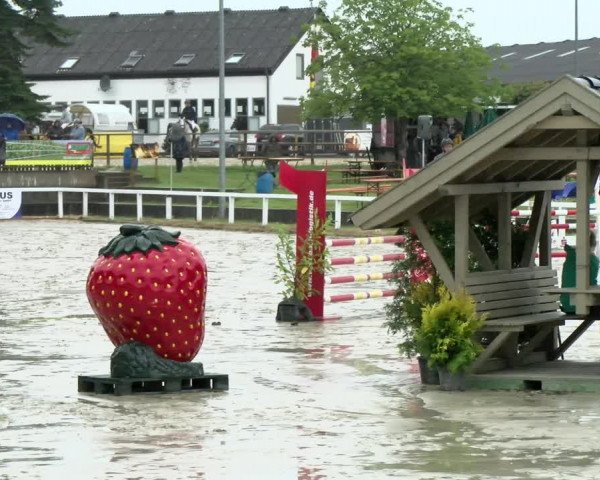 Reitturnier Melle-Ostenfelde 2021