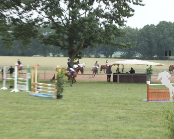 Reitturnier Wohlesbostel 2021