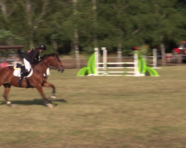 Reitturnier Niederwerbig 2021