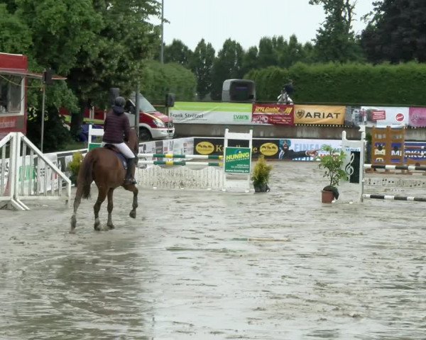 Reitturnier Melle-Ostenfelde 2021