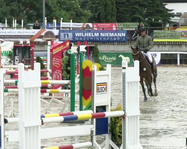 Reitturnier Melle-Ostenfelde 2021