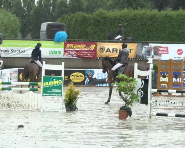 Reitturnier Melle-Ostenfelde 2021