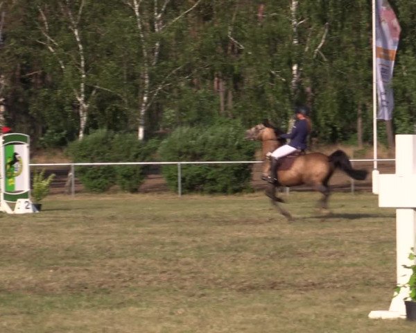 Reitturnier Niederwerbig 2021