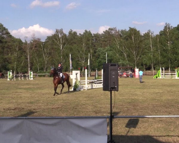 Reitturnier Niederwerbig 2021