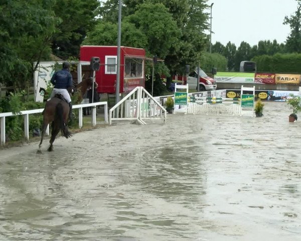 Reitturnier Melle-Ostenfelde 2021