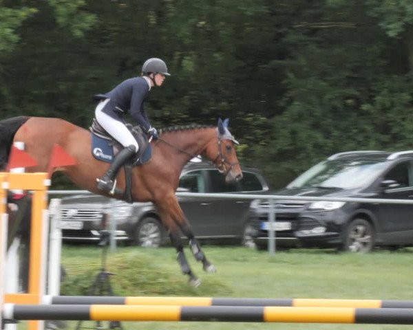 Reitturnier Wohlesbostel 2021