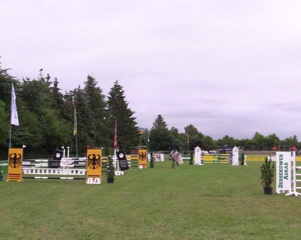 Reitturnier Dersekow 2021