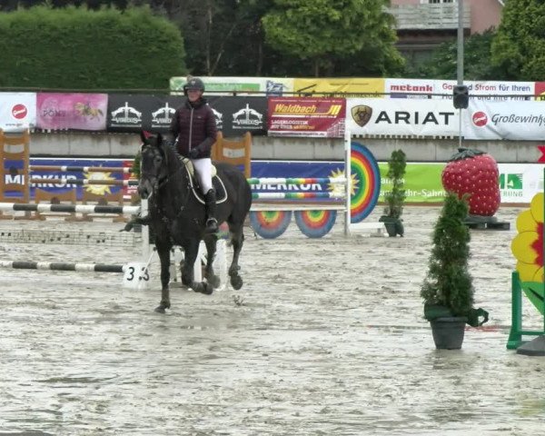 Reitturnier Melle-Ostenfelde 2021