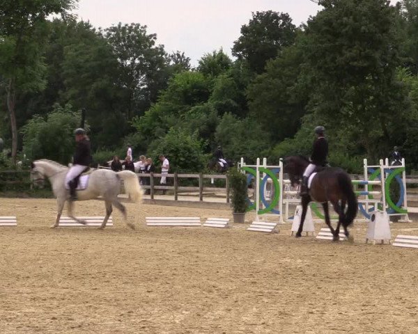 Reitturnier Münster-Nienberge 2021