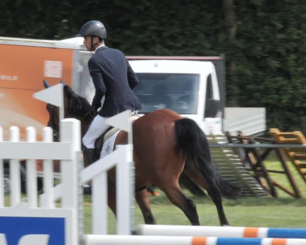 Reitturnier Wohlesbostel 2021