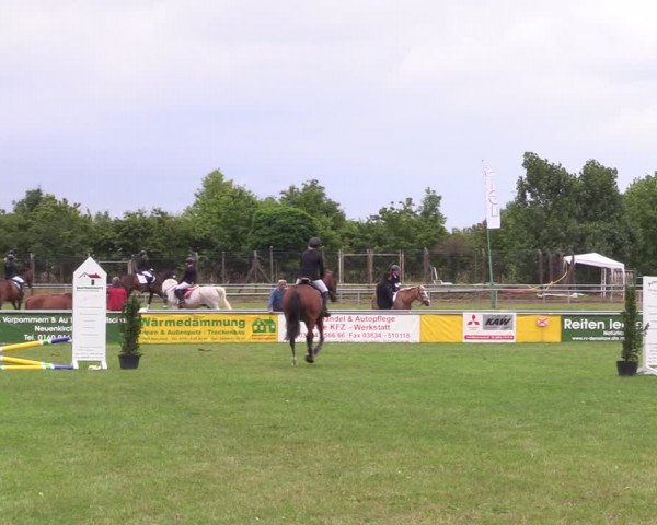 Reitturnier Dersekow 2021