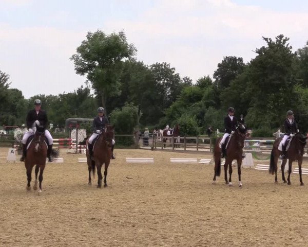 Reitturnier Münster-Nienberge 2021