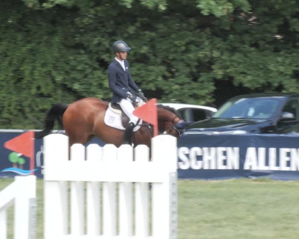 Reitturnier Wohlesbostel 2021