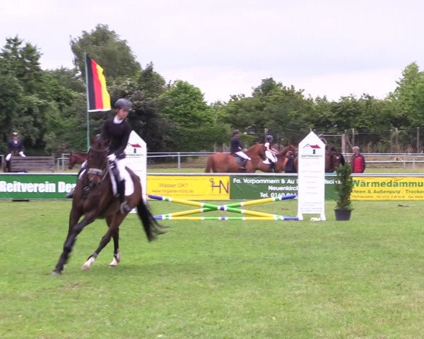 Reitturnier Dersekow 2021