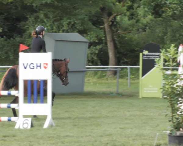Reitturnier Wohlesbostel 2021