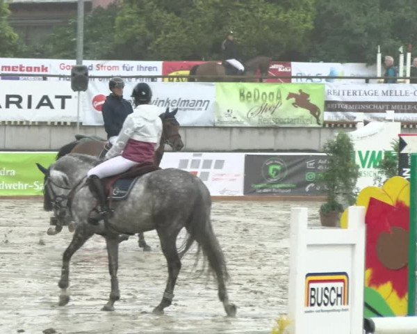 Reitturnier Melle-Ostenfelde 2021