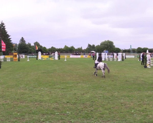 Reitturnier Dersekow 2021