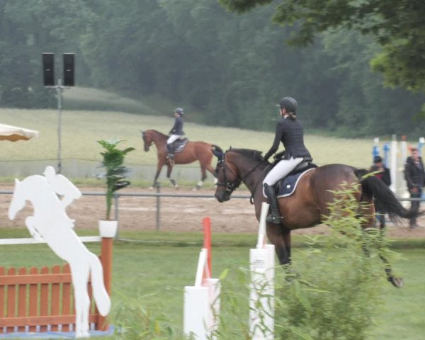 Reitturnier Wohlesbostel 2021