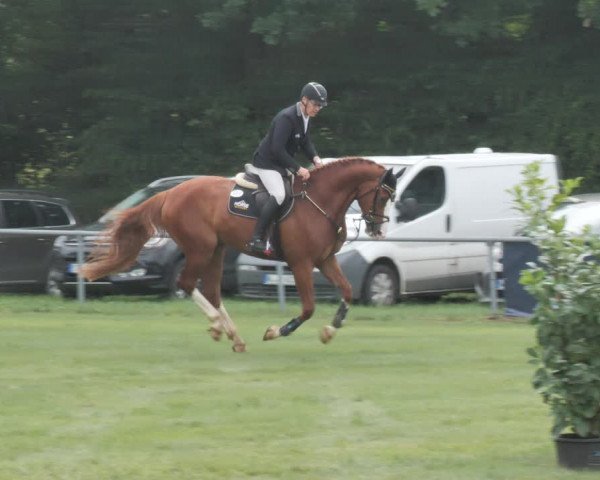 Reitturnier Wohlesbostel 2021